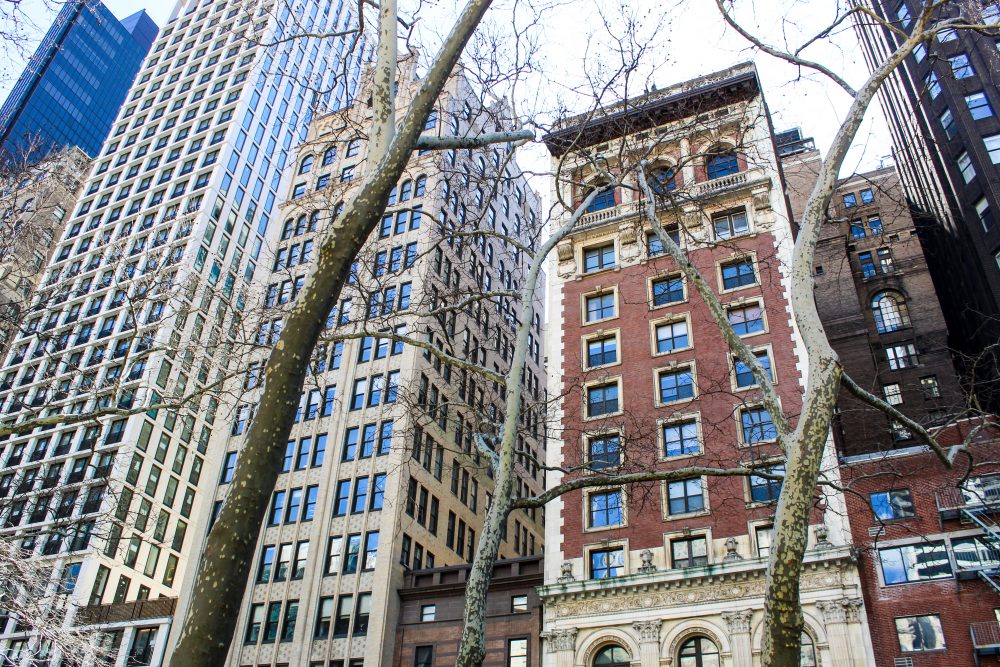 What are the safest hotels for solo travelers in New York