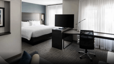 How to find pet-friendly hotels in major cities