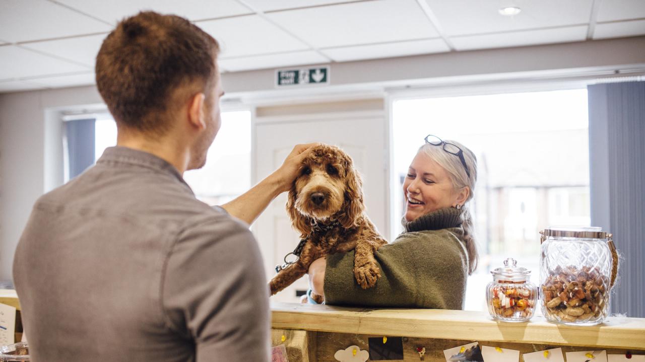 The 10 Best Pet-Friendly Hotels in the U.S. — Best Life The 10 Best Pet-Friendly Hotels in the U.S. — Best Life