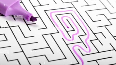 How to find pet-friendly hotels in major cities easily